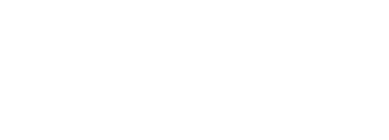 tulpen-logo-2